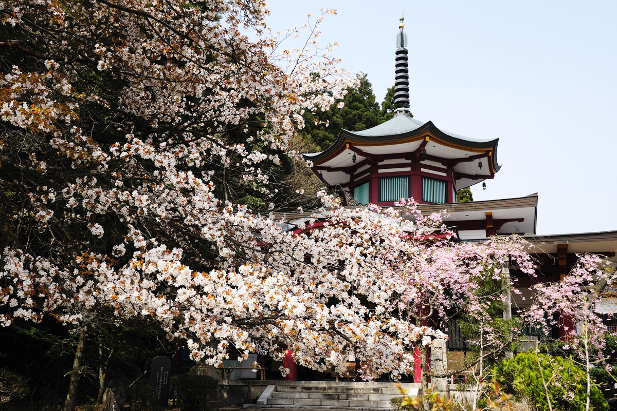 医王寺